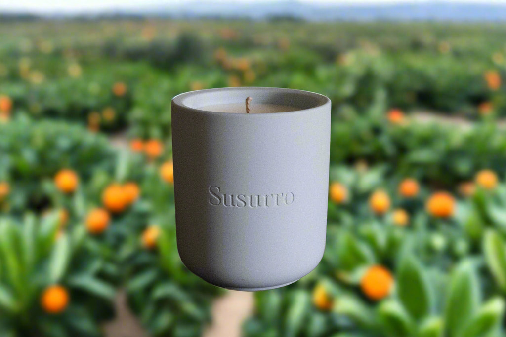 Sandalwood & Sweet Orange